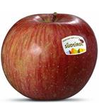 Photo of the apple variety Fuji