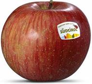 Photo of the apple variety Fuji