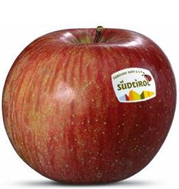 Photo of the apple variety Fuji