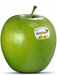 Photo of the apple variety Granny Smith