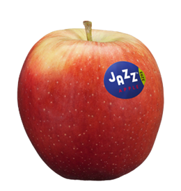 Apple variety Jazz