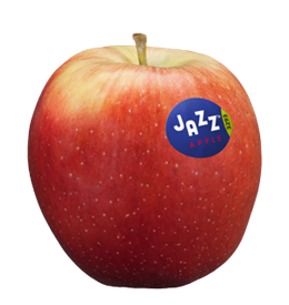 Photo of the apple variety Jazz