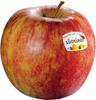 Jonagold apple