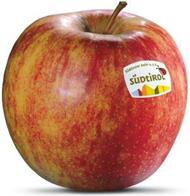 Photo of the apple variety Jonagold