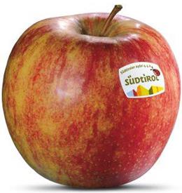 Photo of the apple variety Jonagold
