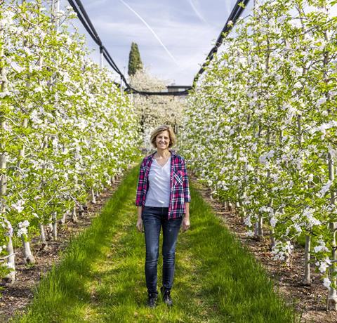 Apple farmer Uli Frei in the orchard