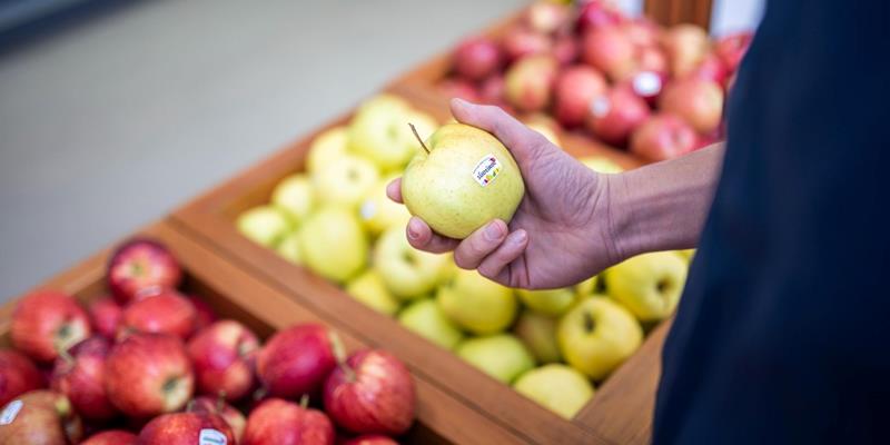 South Tyrolean apples from the OVEG Oris-Lasa fruit cooperative
