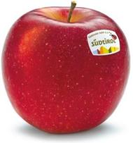 Photo of the apple variety Bonita