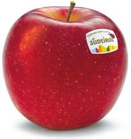 Photo of the apple variety Bonita