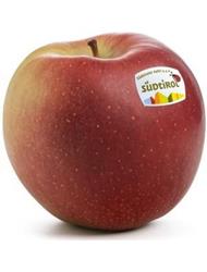 Photo of the apple variety Ipador
