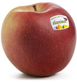 Photo of the apple variety Ipador